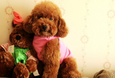 ​关于寓言故事的成语有哪些（20个成语故事及寓意）