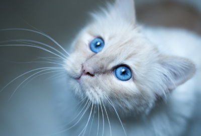 ​成功励志故事大全（5个经典激励故事）