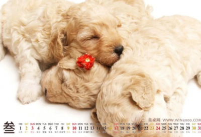 ​坚持努力的故事有哪些（关于坚持的正能量小故事）