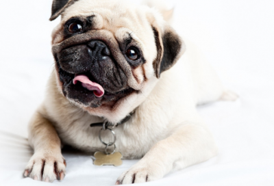 ​中国好故事有哪些（令人感动的中国故事）