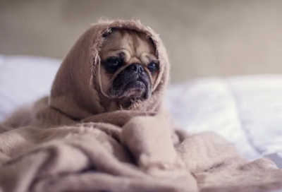 ​渔翁得利是寓言故事吗（鹬蚌相争故事的启示和道理）