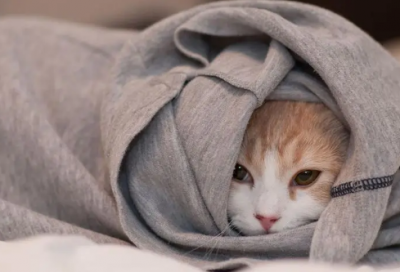 ​幽默励志故事有哪些（三分钟吸引人的小故事）