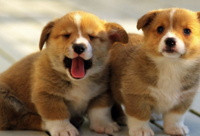 ​陶行知的故事有哪些（了解4个真实故事）