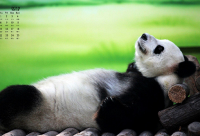 ​经典哲学故事以及哲理（十大经典哲学故事）