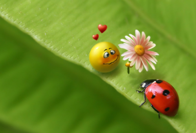 ​文言文故事有哪些（经典文言文短篇精选）