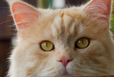 ​晨会励志简短小故事及感悟（工作励志小故事及感悟）