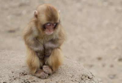 ​让我感动的故事读后感（有感染力的励志故事）