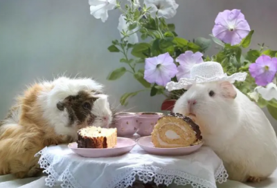 ​职场励志正能量语录（三分钟晨会励志小故事）