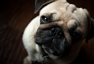 ​中国古代经典故事（经典古代故事大全）