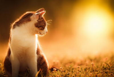 ​中国现代名人故事（中国现代杰出人物事迹）