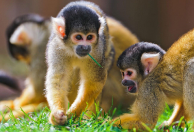 ​关于名人名字的故事（中国名人名字的故事分享）