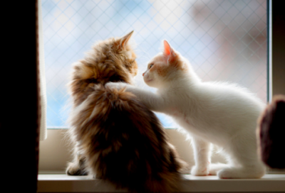 ​感人的故事短篇（正能量简短小故事）