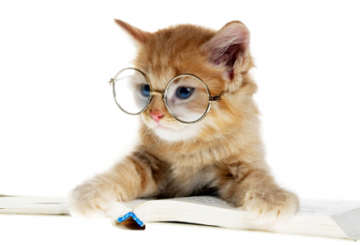 ​刻骨铭心的爱情（两百年关的感人爱情故事）