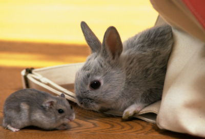 ​古今中外名人读书小故事（自学成才的中外名人故事）