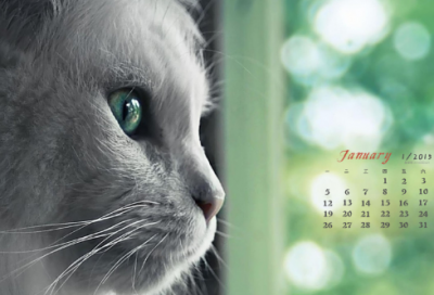 ​有关家国情怀的素材故事（2023高考家国情怀热点素材）