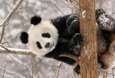 ​哄女朋友睡前故事大全（很甜很撩的睡前小故事）