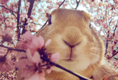 ​寓言哲理故事大道理（寓言故事中的道理）