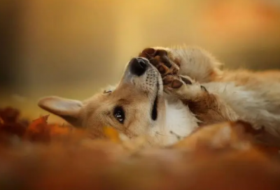 ​感人爱情故事大全（最让人感动的真实爱情故事）