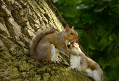 ​感人催泪小故事30字（点赞的治愈系长篇睡前故事）