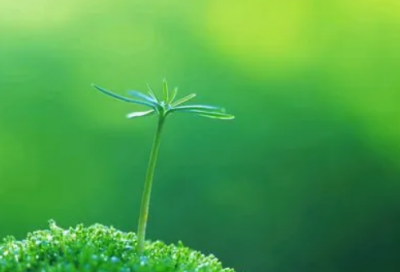 ​上下五千年的历史故事有哪些（经典历史故事合集）