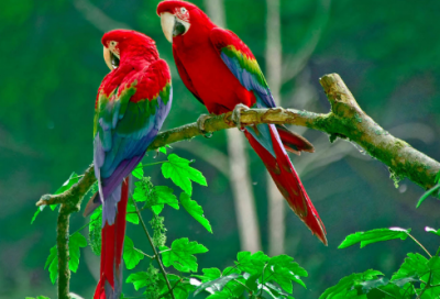 ​白手起家的故事（白手起家的名人励志故事）