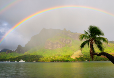 ​关于创业失败故事（做生意失败的惨痛经历）