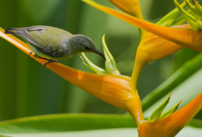 ​李白的故事有哪些（有关于李白的个人故事）