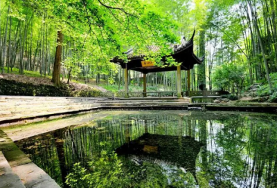 ​防微杜渐的故事和道理（防微杜渐的成语故事及解释）