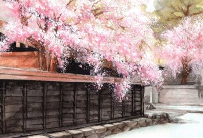 ​关于尼克胡哲的故事有哪些（尼克的故事给我们的启示）