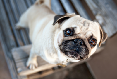 ​励志故事大全短篇及感悟（三个感人励志真实故事）