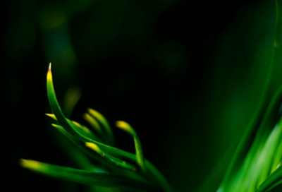 ​中秋节的传说简短大全（4个关于中秋节的故事）