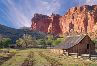 ​雀屏中选是谁的故事（雀屏中选的典故）