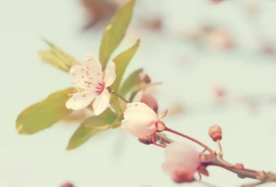 ​最新小学二年级数学教学计划