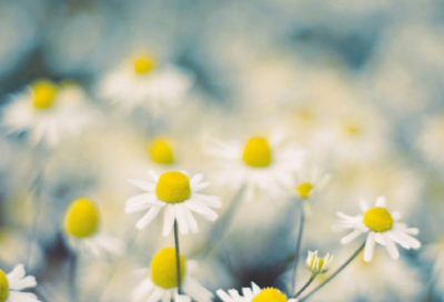 ​《怀念母亲》教学设计一等奖