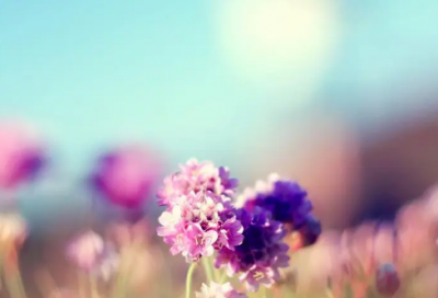 ​《何处繁华笙歌落》少女期装扮与剧情选项攻略