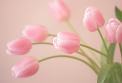 ​《明史?王守仁传》阅读答案解析及翻译