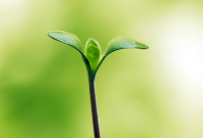 ​《四个太阳》教学设计一等奖