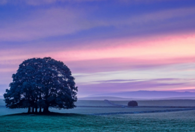 ​培训会议方案（通用23篇）