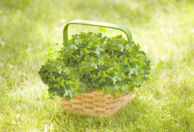 ​暑假工作方案（通用24篇）