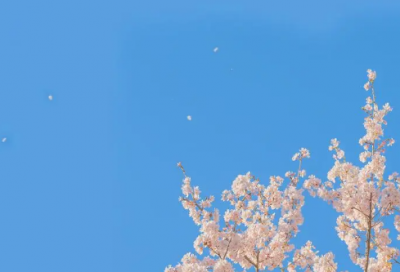 ​《鱼游到了纸上》第二课时教学设计一等奖