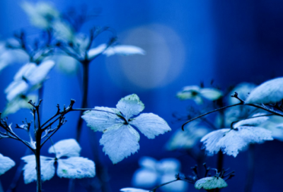 ​初中物理教案（精选19篇）