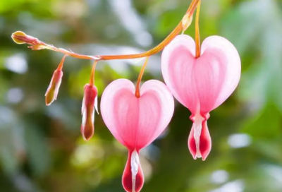 ​课题实施方案（精选14篇）