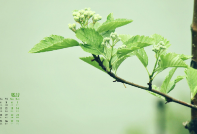 ​语文必修课文《落日》的教学设计一等奖