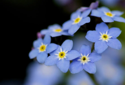 ​一年级语文《一去二三里》教学设计一等奖