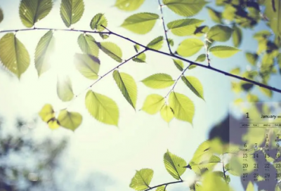 ​陶潜，字元亮阅读答案