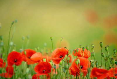 ​猜字谜语大全及答案3054个