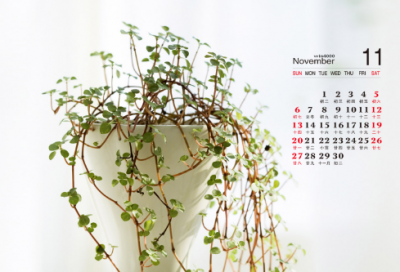 ​谜语大全复杂3054个