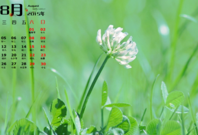 ​幼儿谜语3057个