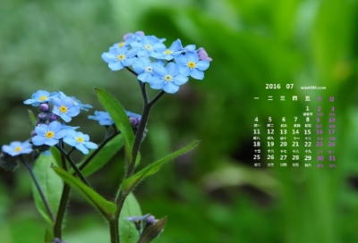 ​最难字谜语大全及答案3053个