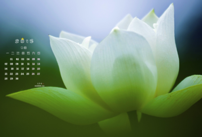 ​最容易想歪的谜语202个经典